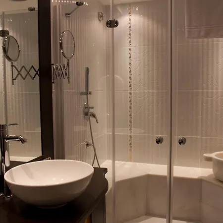 奥斯曼公园酒店 - 特殊类别