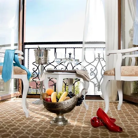 奥斯曼公园酒店 - 特殊类别