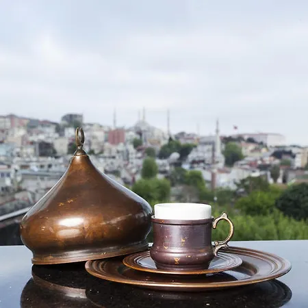 奥斯曼公园酒店 - 特殊类别 酒店 *